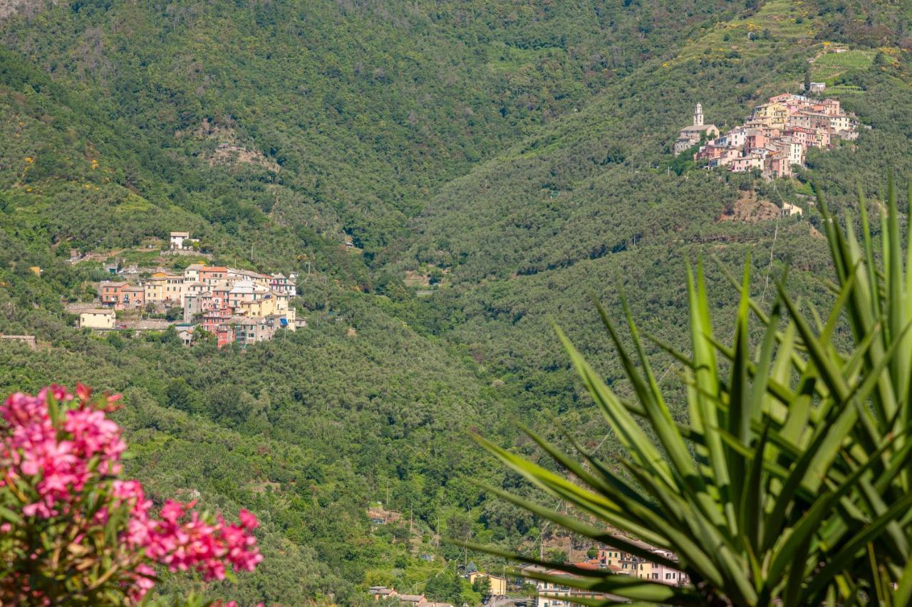 Villa Dell'Erta - Levanto Montale  Екстер'єр фото